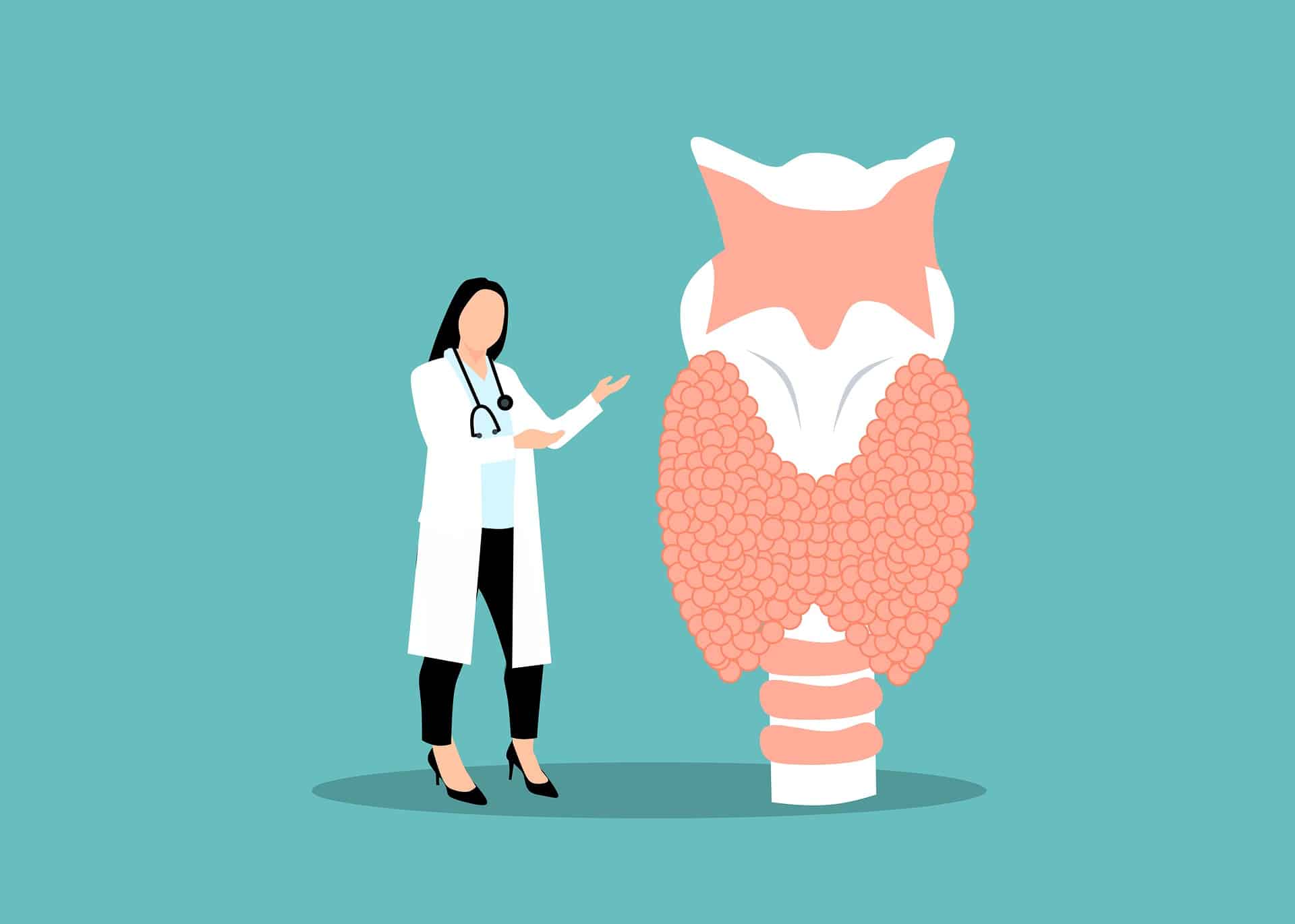 ¿Que es la tirotropina TSH?¿Cuales son los valores normales?