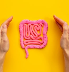 test de sibo en casa